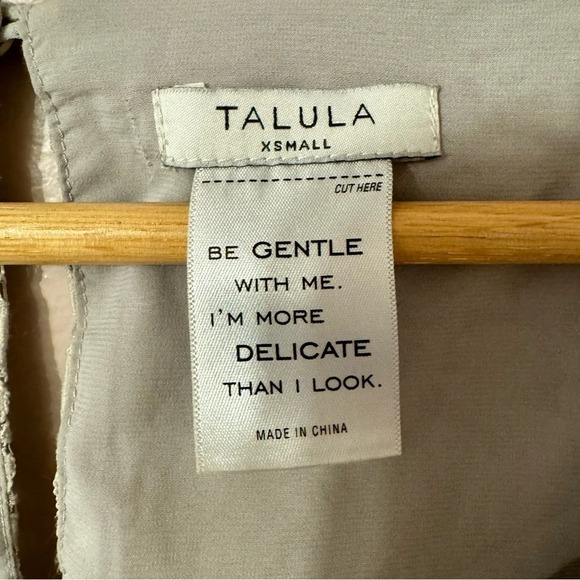 Aritzia Talula  Lace Mini Dress Size XS - Picture 5 of 8